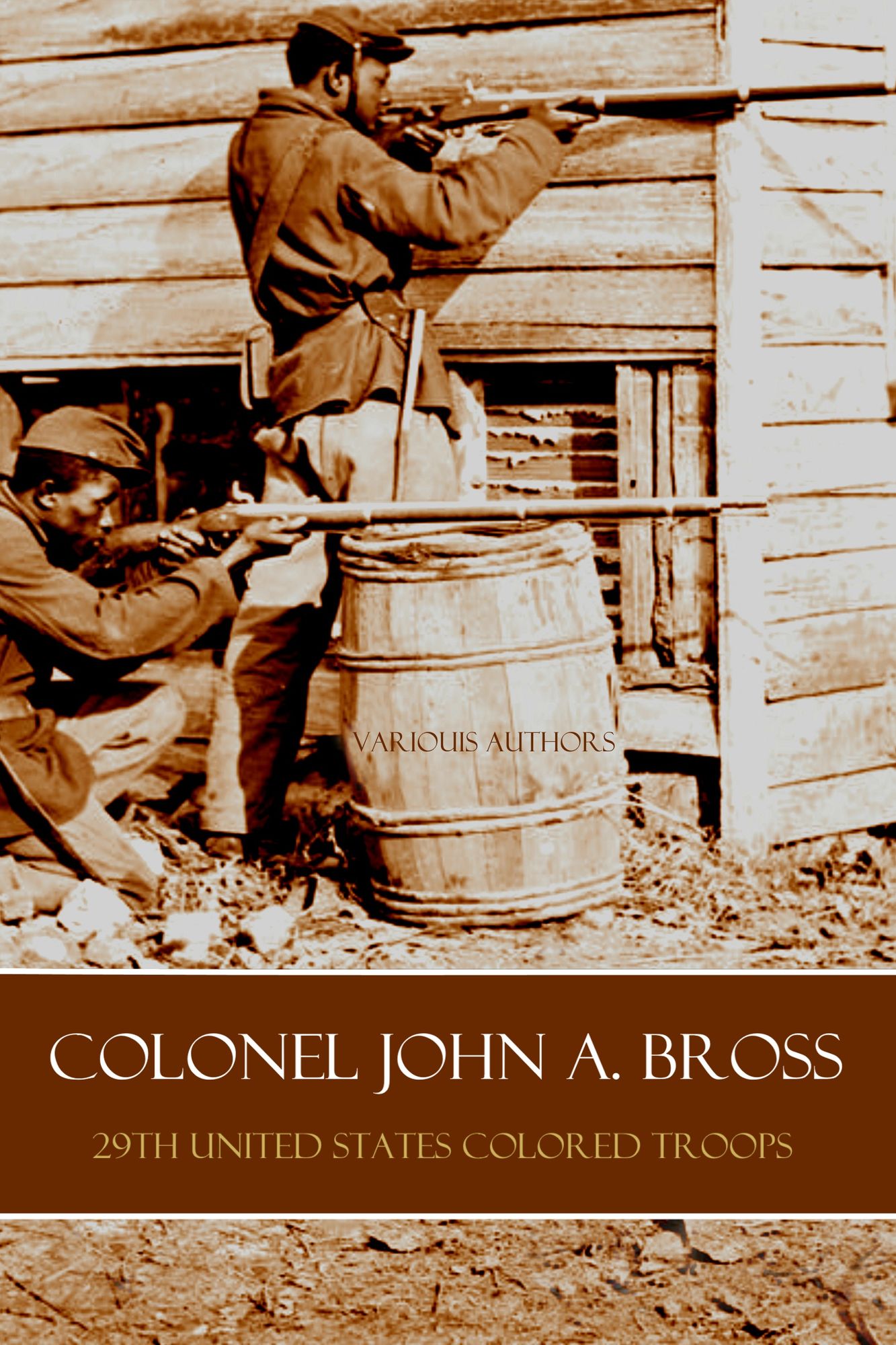 Colonel John A. Bross: 29th U.S. Colored Troops (Abridged, Annotated)
