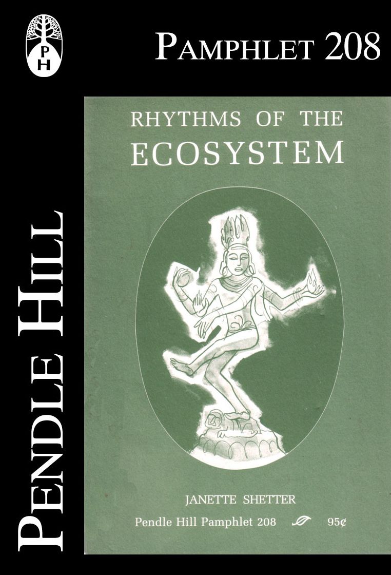 Rhythms of the Ecosystem