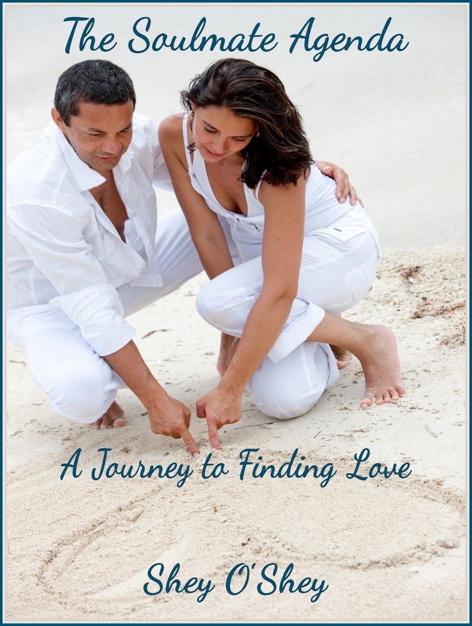 The Soulmate Agenda ~ A Journey to Finding Love