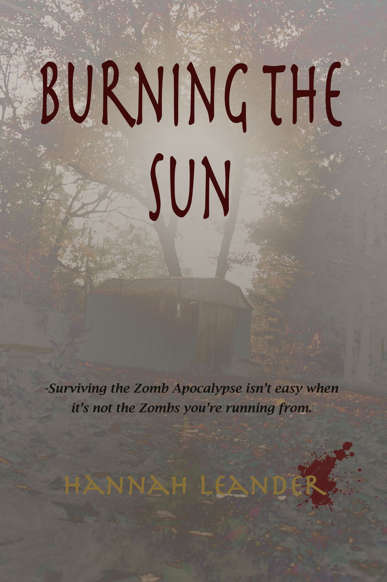 Burning The Sun