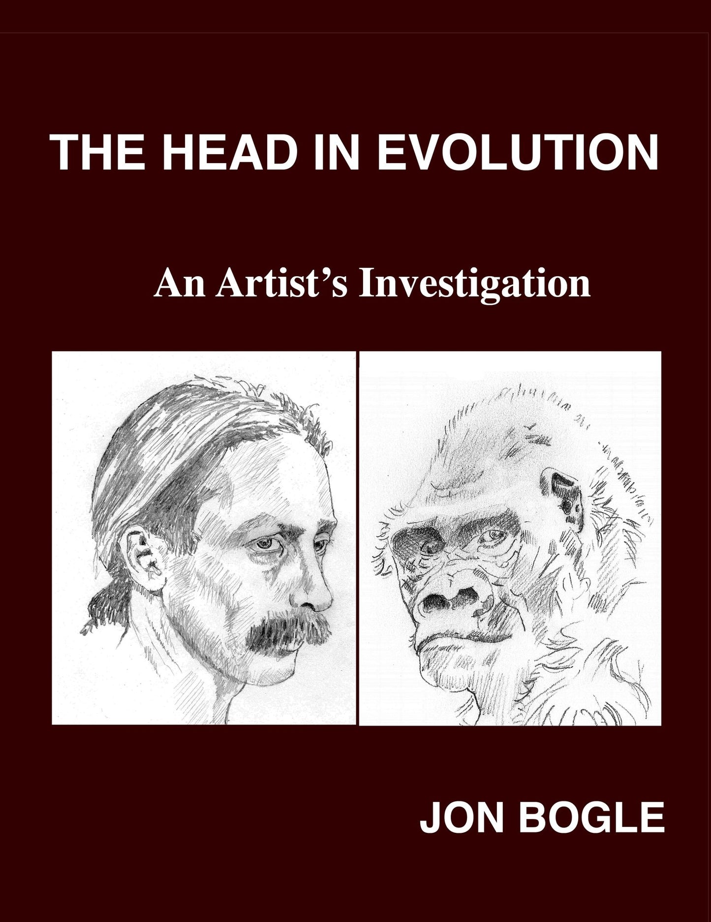 The Head in Evolution: An Artist's Investigation