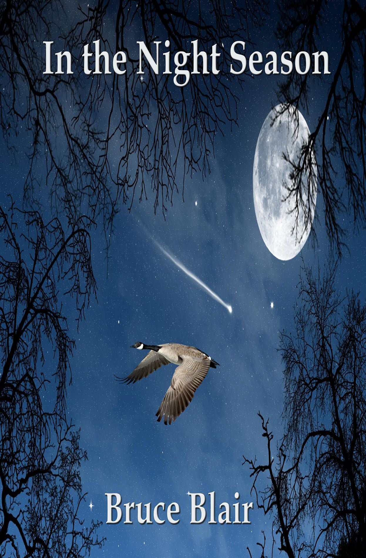 In the Night Season