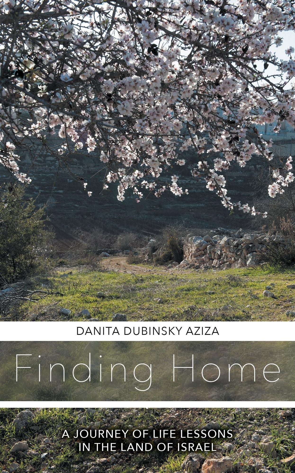 Finding Home A Journey of Life Lessons in the Land of Israel