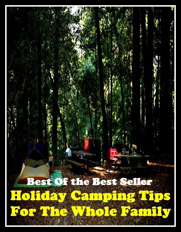 Best of the best seller Holiday Camping Tips For The Whole Family(break,holiday,layoff,recess,respite,rest,sabbatical,time off,fiesta,furlough)