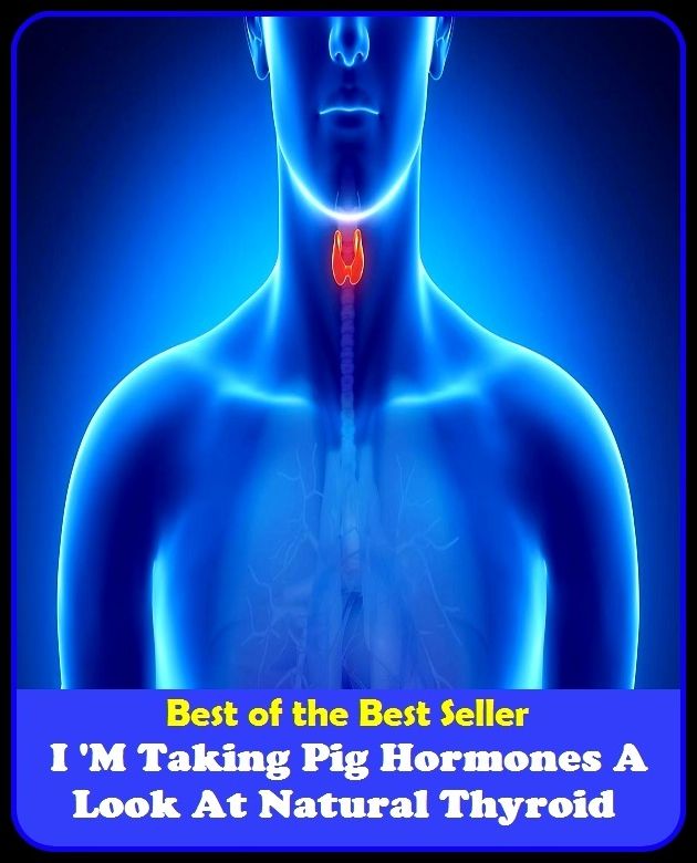 Best of the best seller I M Taking Pig Hormones A Look At Natural Thyroid(energy,fitness,strength,well-being,bloom,complexion,constitution,euphoria,fettle,form)
