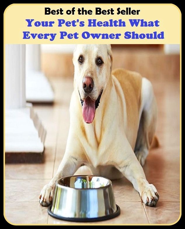 Best of the best sellers Your Pet S Health What Every Pet Owner Should ( families, household, familial, domestic, relatives, households, dynasty, home, familiar, household-type, family-run, family-related, family-owned, kin )