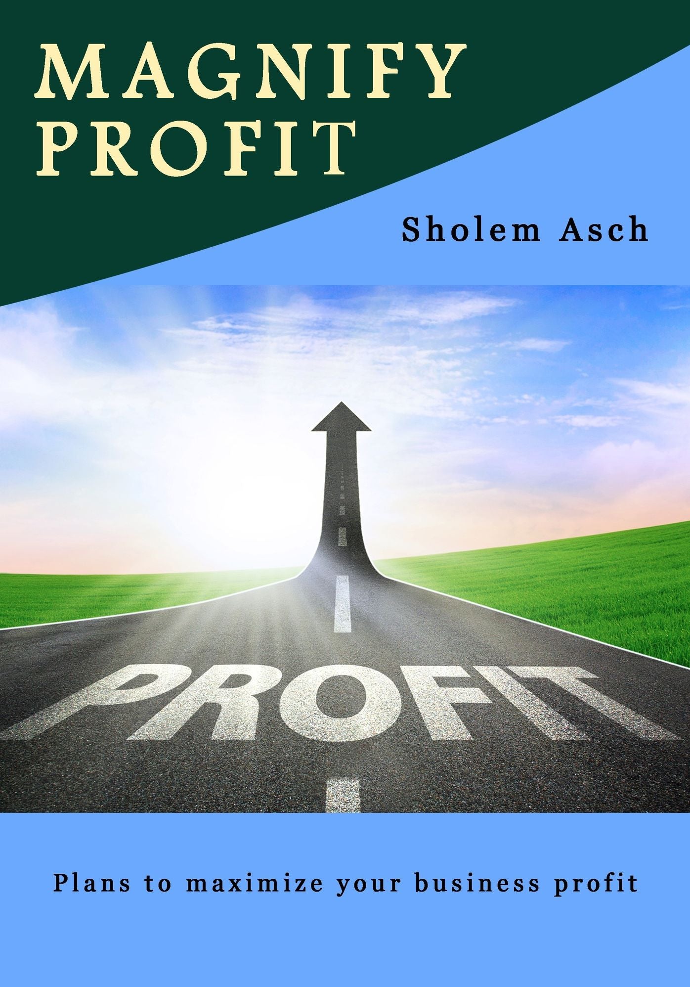 Magnify Profit