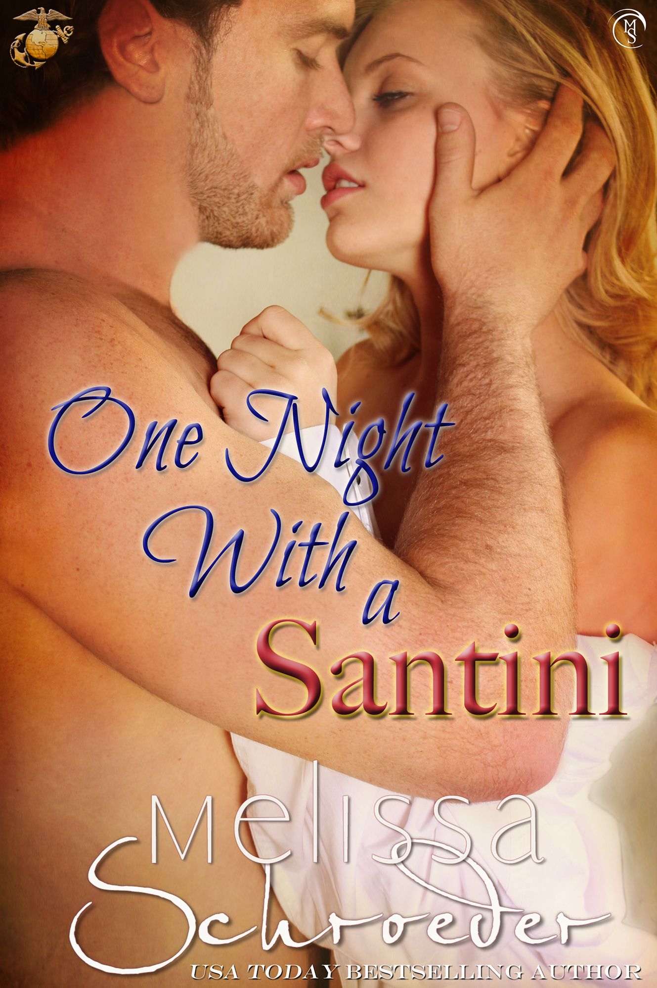 One Night With A Santini