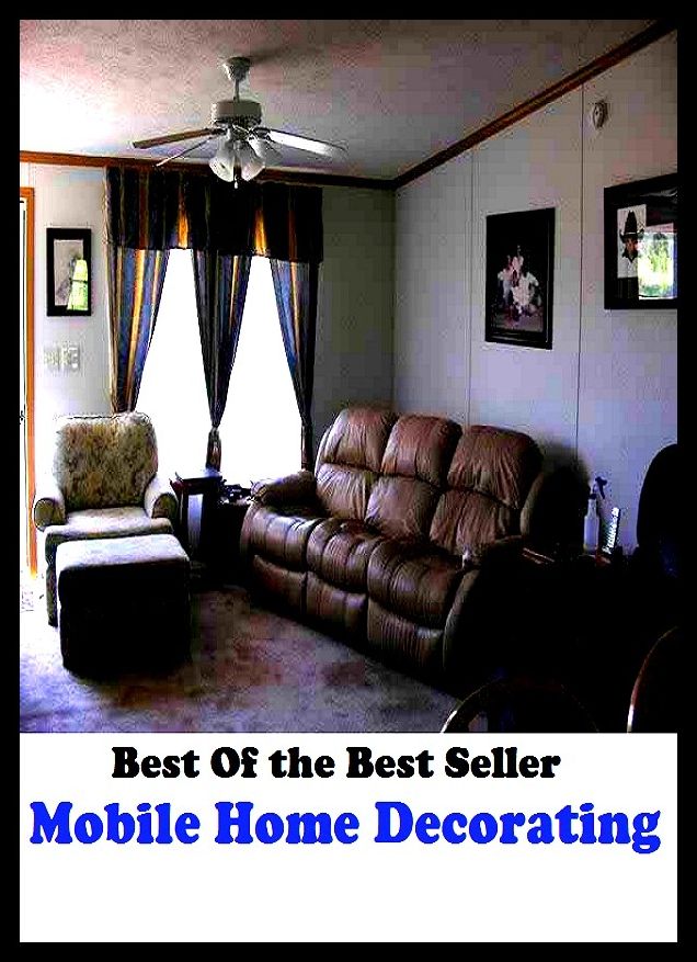 Best of the best seller Mobile Home Decorating(everyday,ordinary,family,home,plain,domiciliary,homey,homely,domestic,homelike)