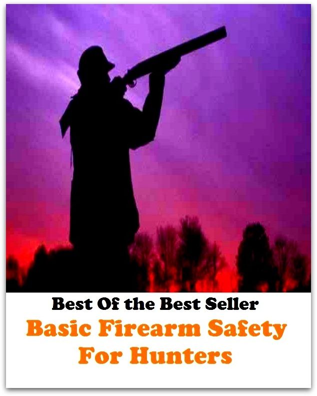 Best of the best seller Basic Firearm Safety For Hunters(angling,fishery,fishing,shooting,coursing,falconry,fowling,hawking,sporting,stalking)