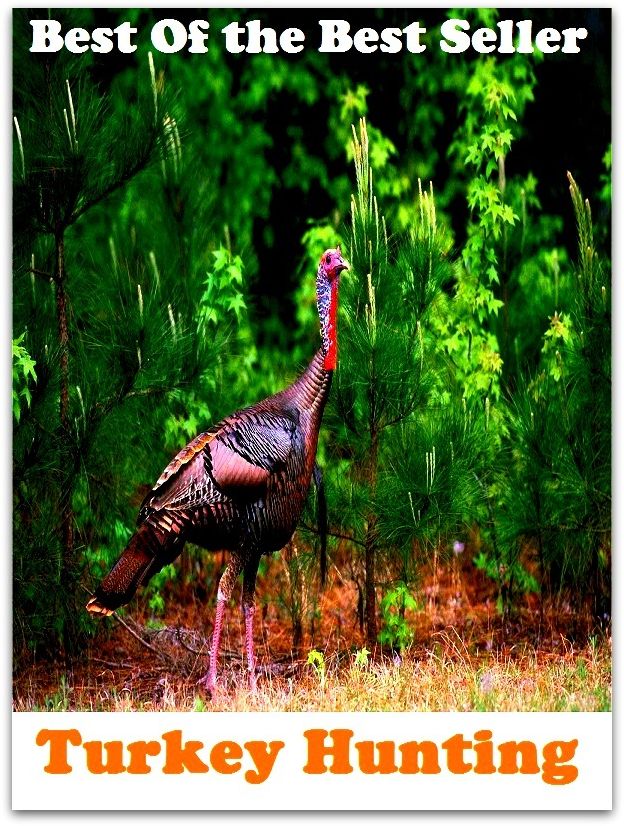 Best of the best seller Turkey Hunting(angling,fishery,fishing,shooting,coursing,falconry,fowling,hawking,sporting,stalking)
