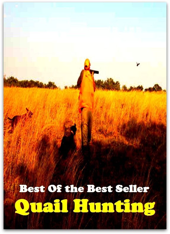 Best of the best seller Quail Hunting(angling,fishery,fishing,shooting,coursing,falconry,fowling,hawking,sporting,stalking)