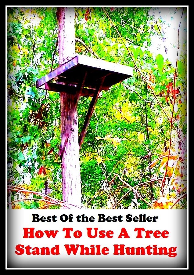 Best of the best seller How To Use A Tree Stand While Hunting(angling,fishery,fishing,shooting,coursing,falconry,fowling,hawking,sporting,stalking)