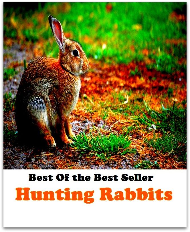 Best of the best seller Hunting Rabbits(angling,fishery,fishing,shooting,coursing,falconry,fowling,hawking,sporting,stalking)