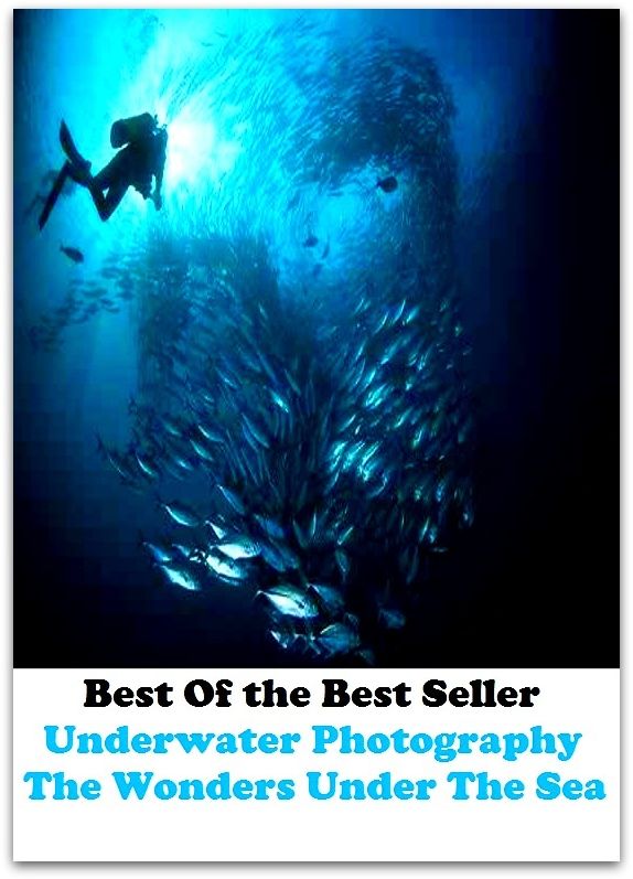 Best of the best seller Underwater Photography The Wonders Under The Sea(photograph,photographer,photocopy,image,likeness,photo,picture,portrait,print,snapshot,blowup,microfilm,mug)