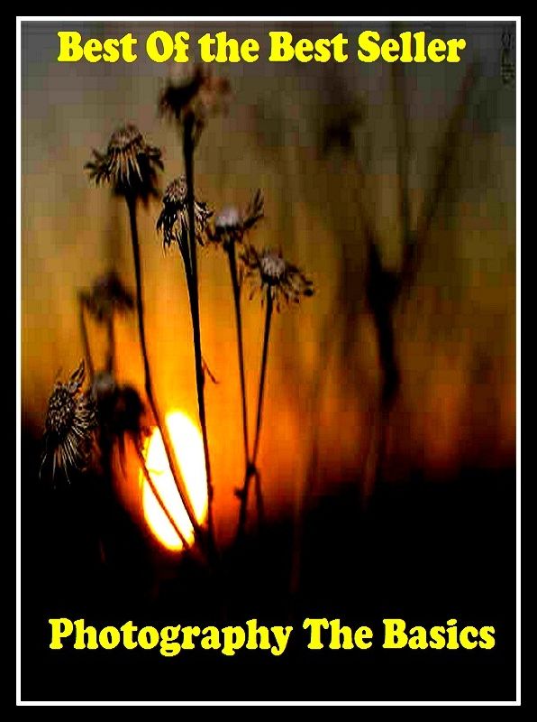 Best of the best seller Photography The Basics(photograph,photographer,photocopy,image,likeness,photo,picture,portrait,print,snapshot,blowup,microfilm,mug)