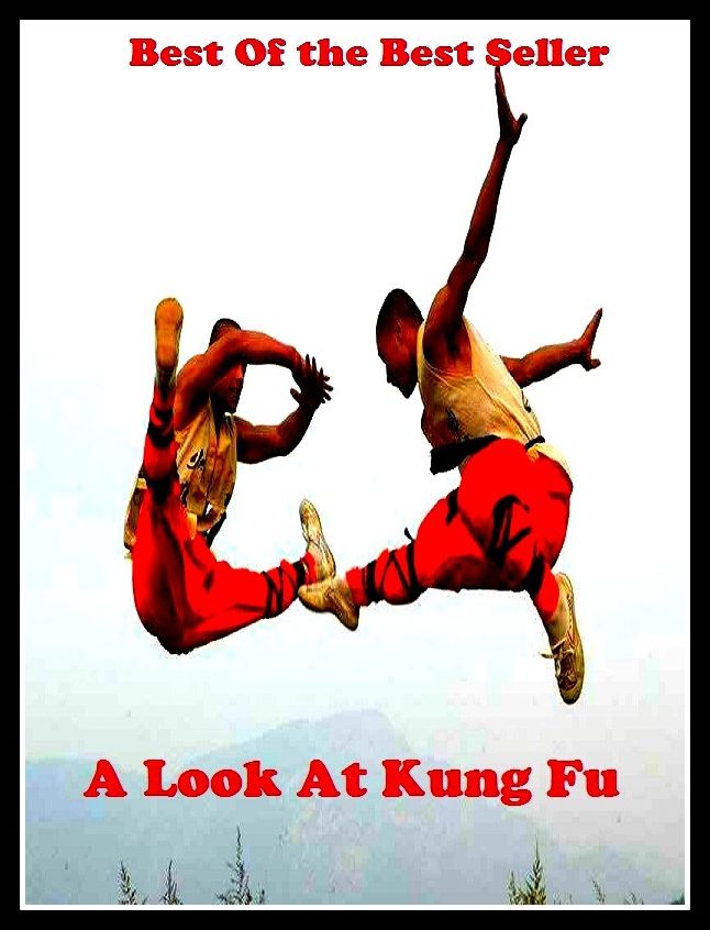 Best of the best seller A Look At Kung Fu(judo,karate,wrestling,aikido,jujitsu,kendo,kick boxing,kung fu,sumo wrestling,t'ai chi)
