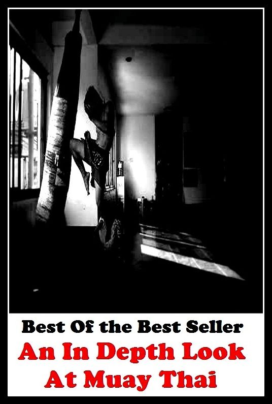 Best of the best seller An In Depth Look At Muay Thai(bio,biography,curriculum vitae,CV,life story,resume,resume)