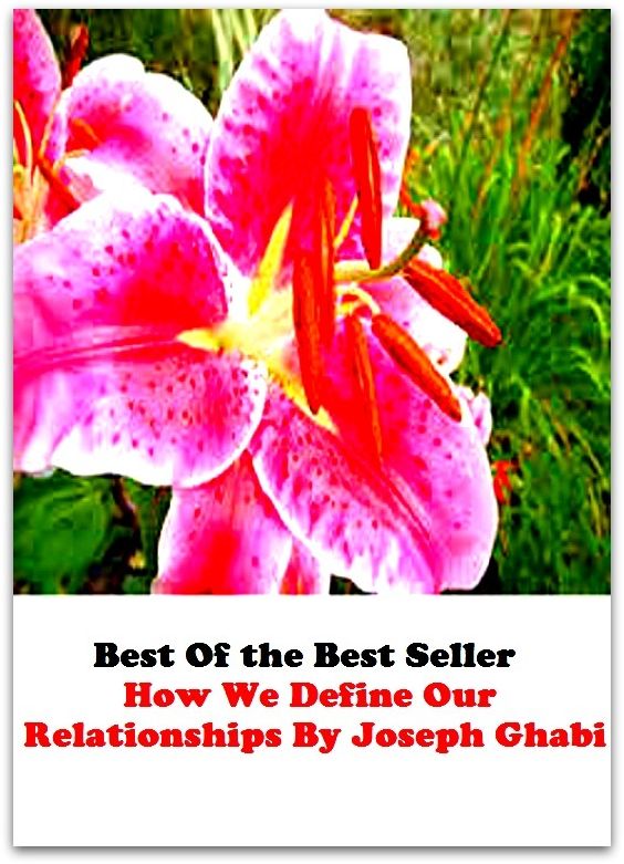 Best of the best seller How We Define Our Relationships By Joseph Ghabi(affair,marriage,exchange,communication,accord,rapport,liaison,contact,link,tie,relation )