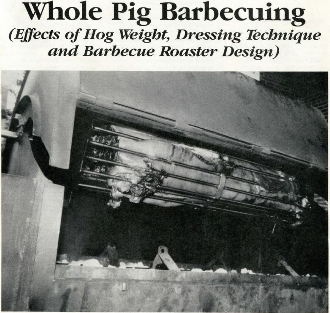Whole Pig Barbecuing
