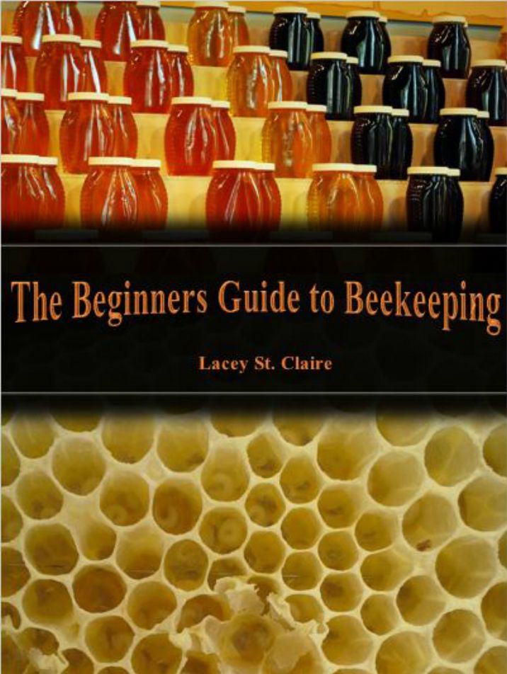 The Beginners Guide to Beekeeping