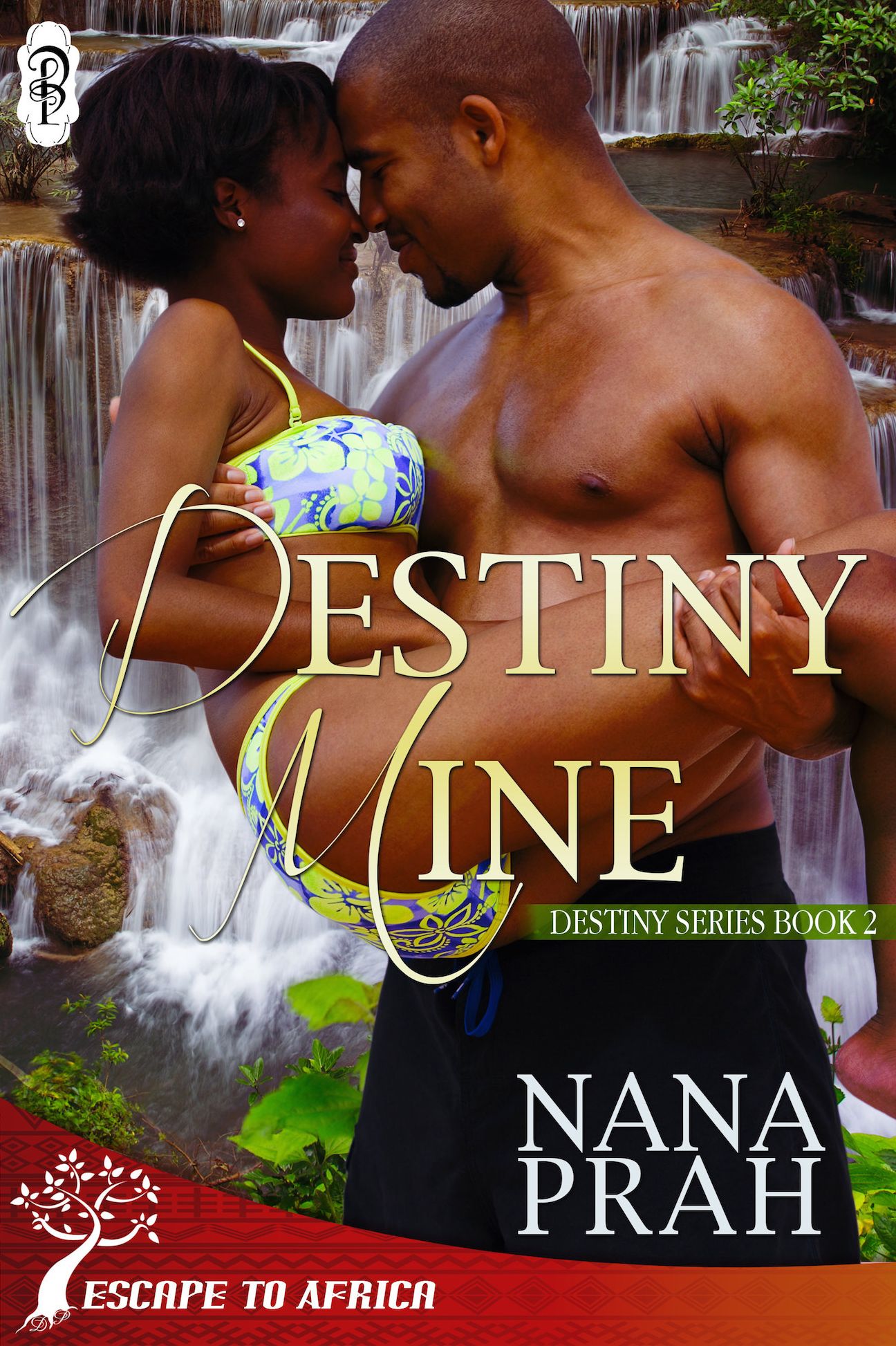 Destiny Mine (Destiny African Romance #1)