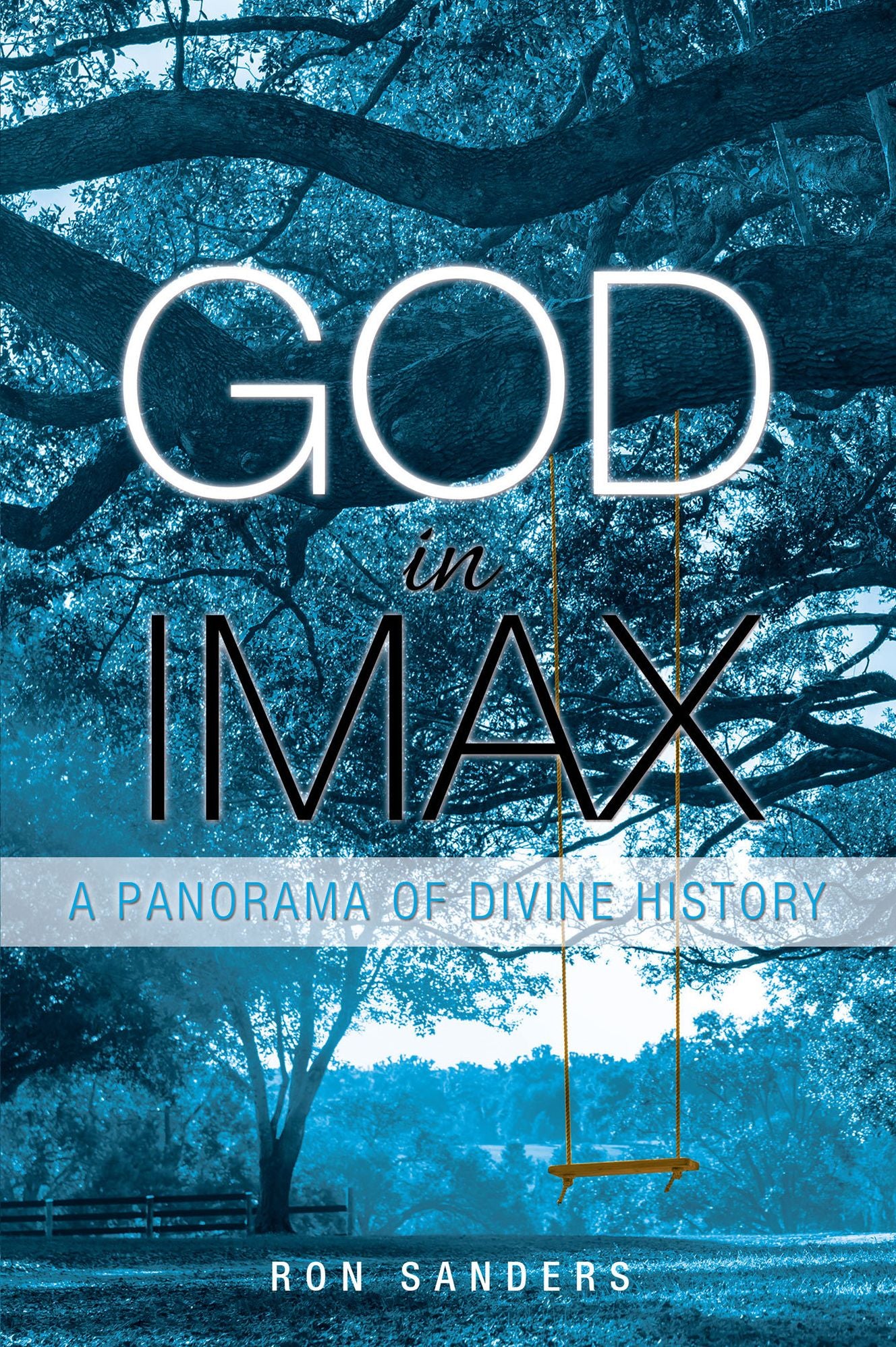 God in IMAX: A Panorama of Divine History