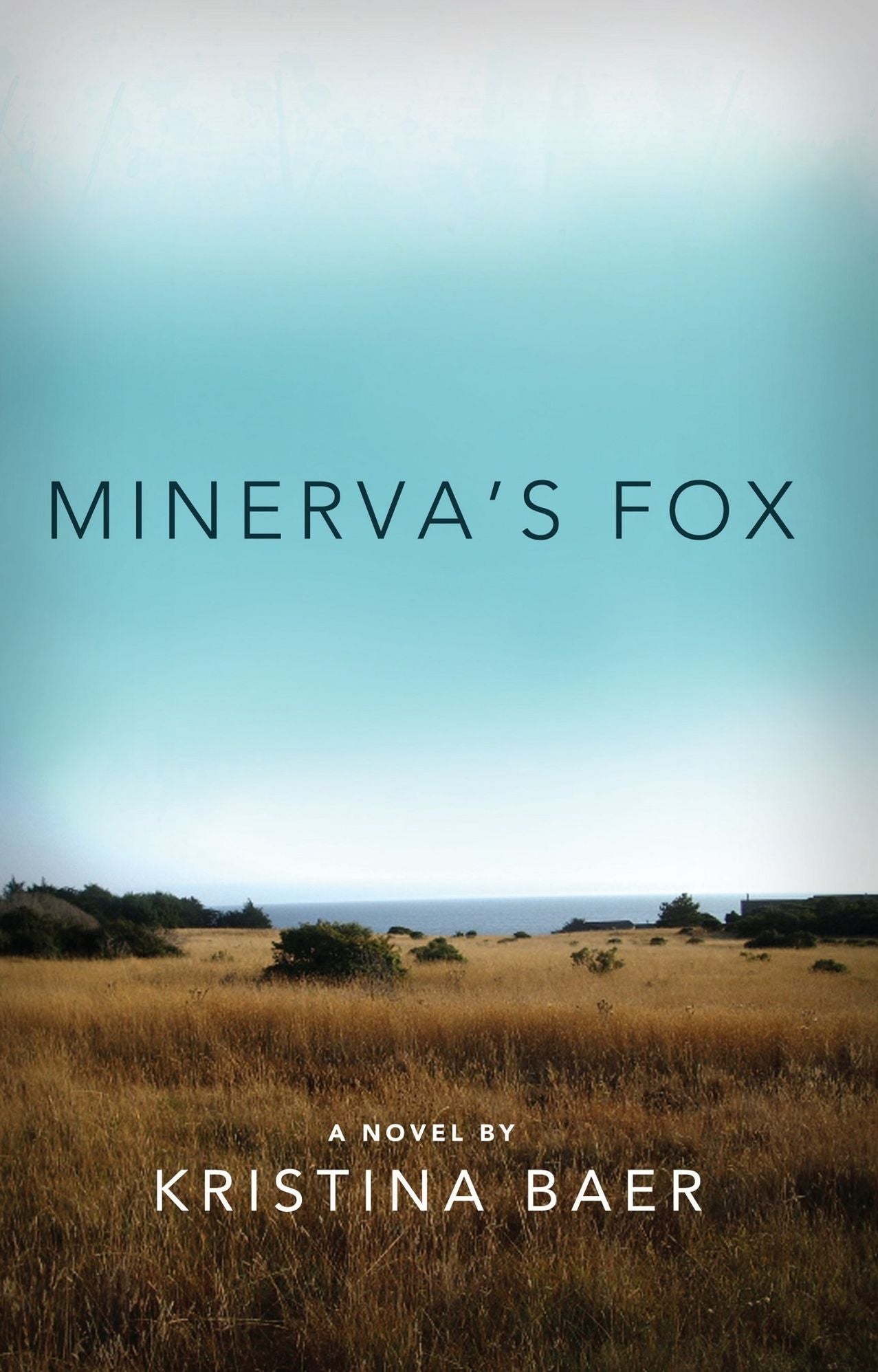 Minerva's Fox: A Novel