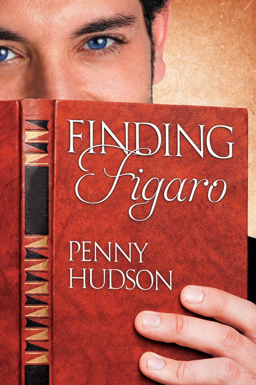 Finding Figaro