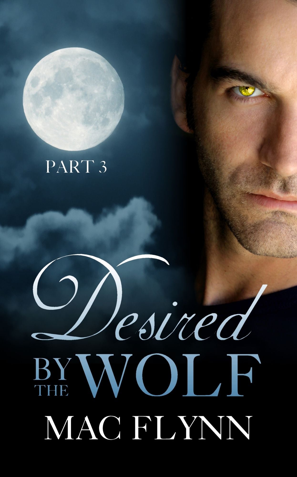 Desired By the Wolf Part 3 (BBW Werewolf Shifter Romance)