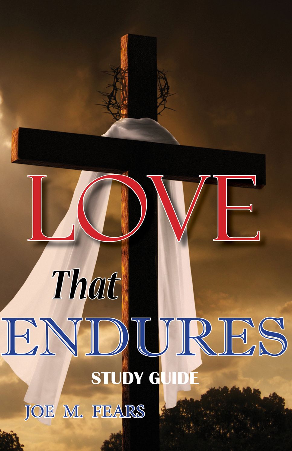 Love That Endures: Study Guide