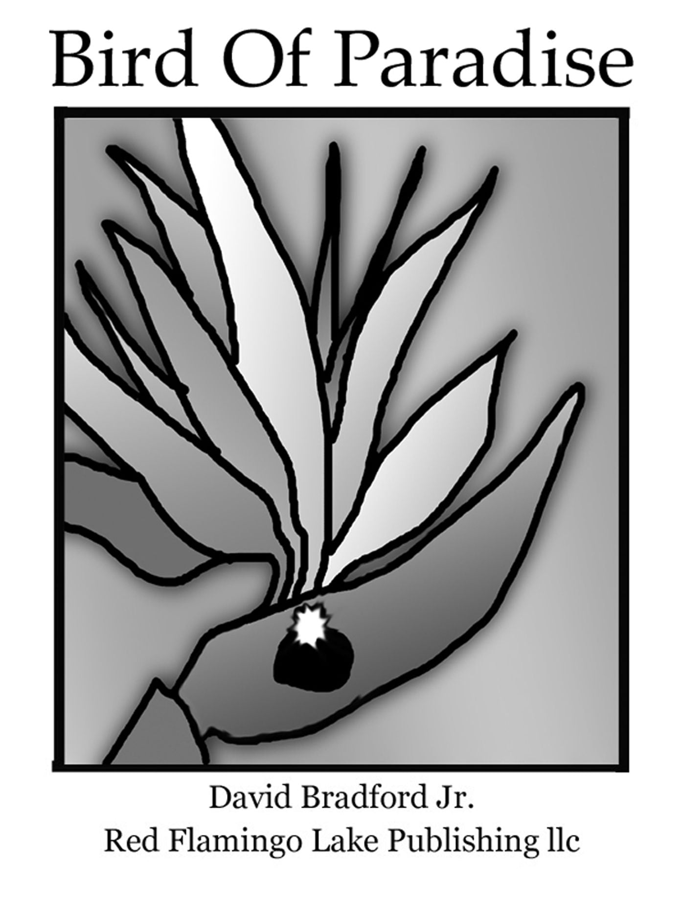 Bird Of Paradise
