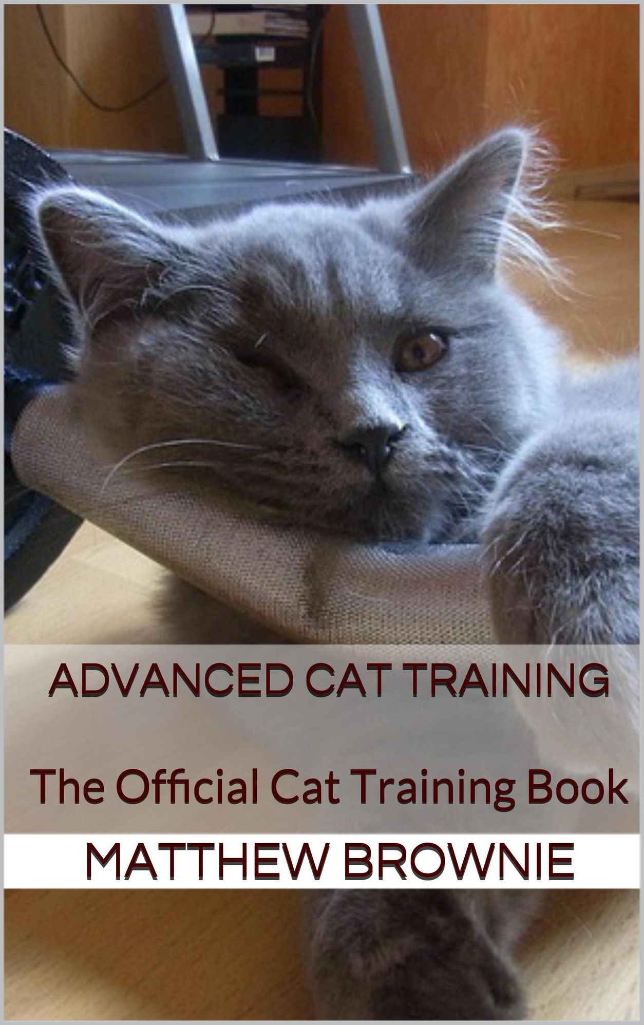Advanced Cat Training: The Official Cat Training Book