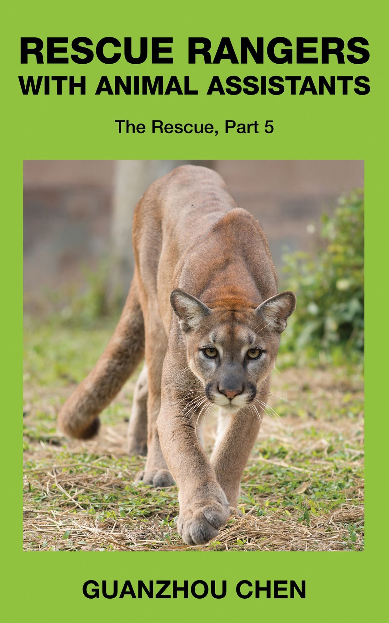 Rescue Rangers with Animal Assistants; The Rescue, Part 5