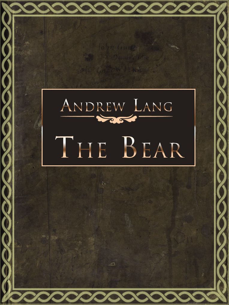 The Bear