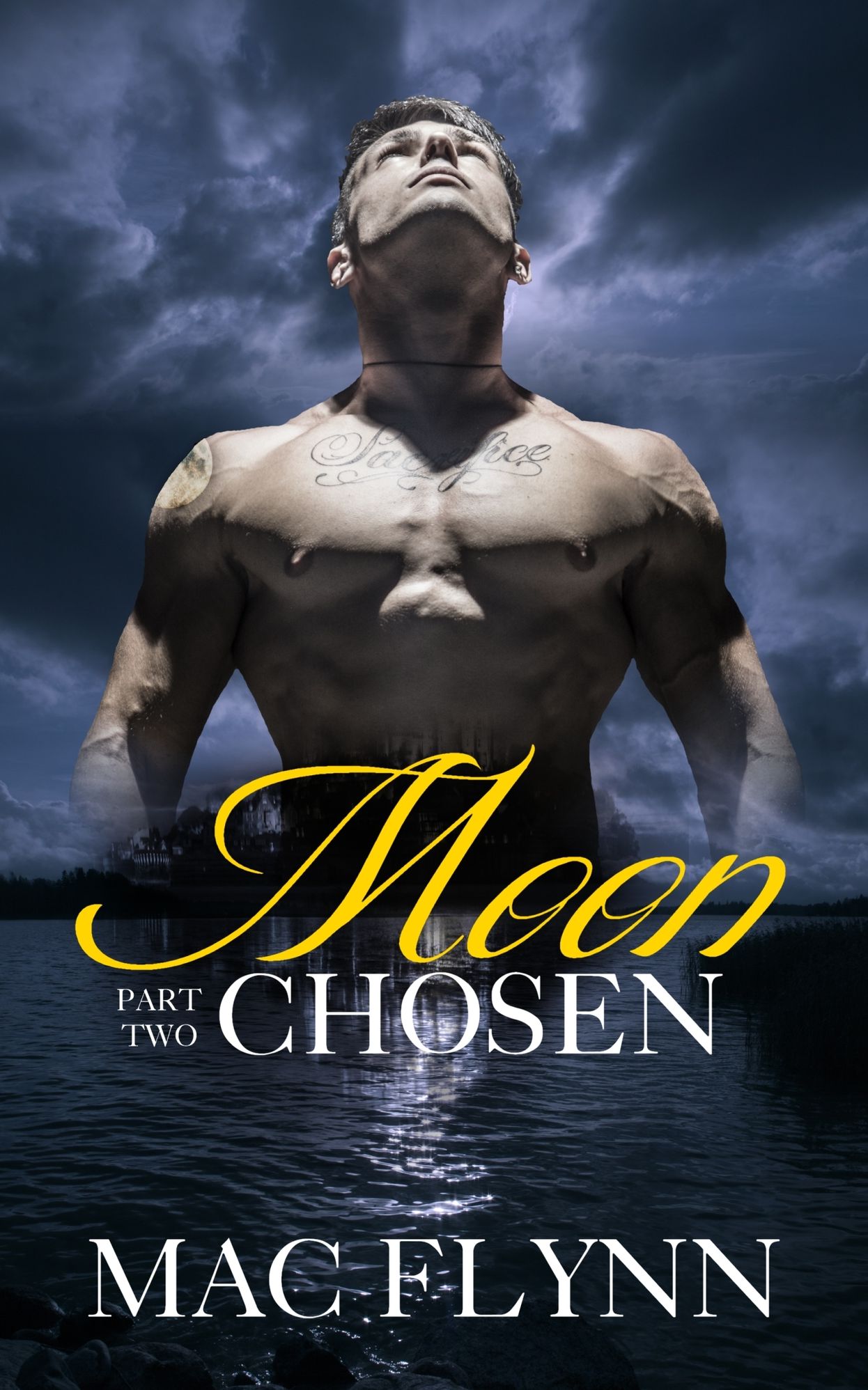 Moon Chosen #2 (BBW Werewolf Shifter Romance)