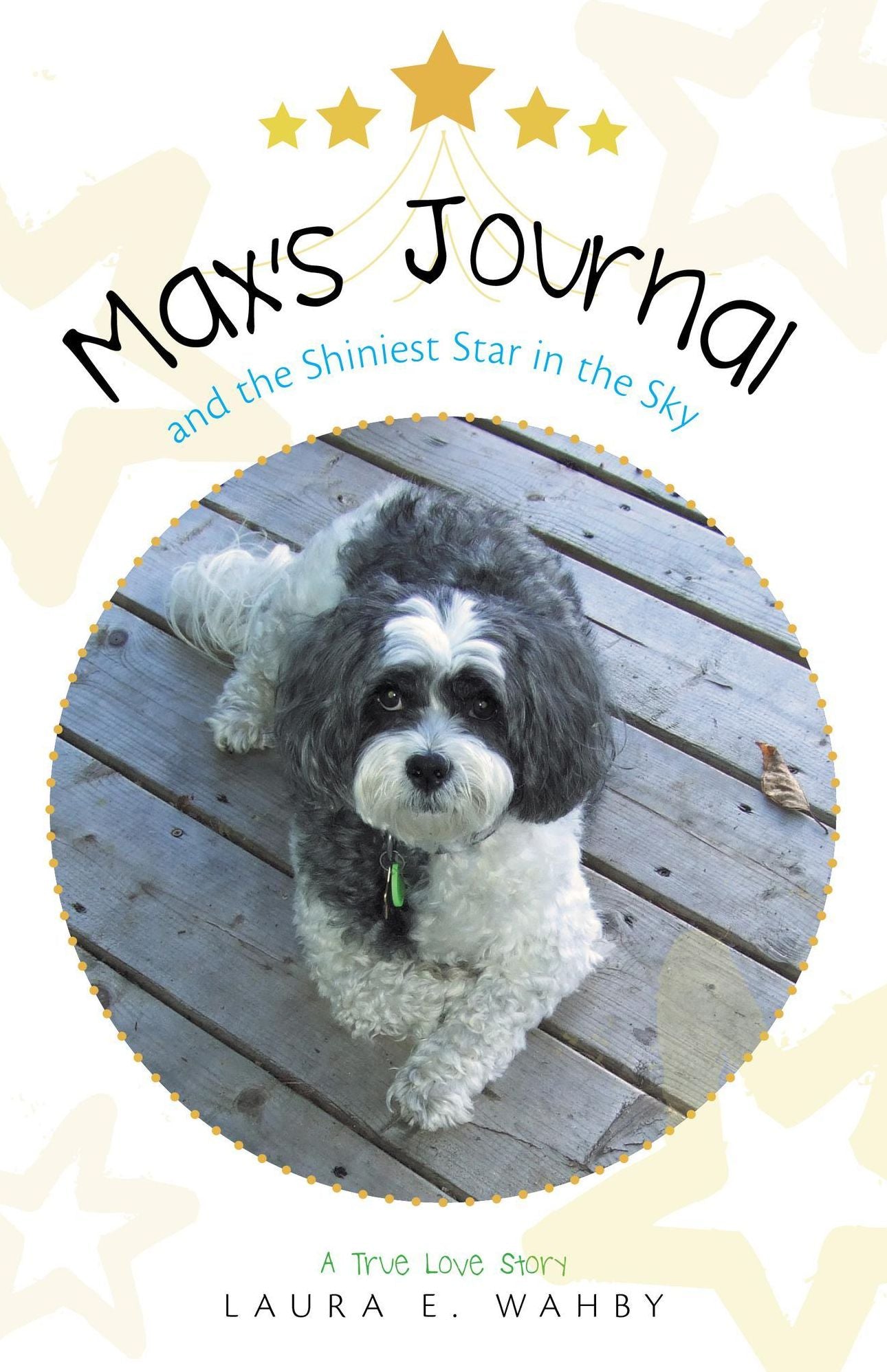 Max's Journal and the Shiniest Star in the Sky: A True Love Story
