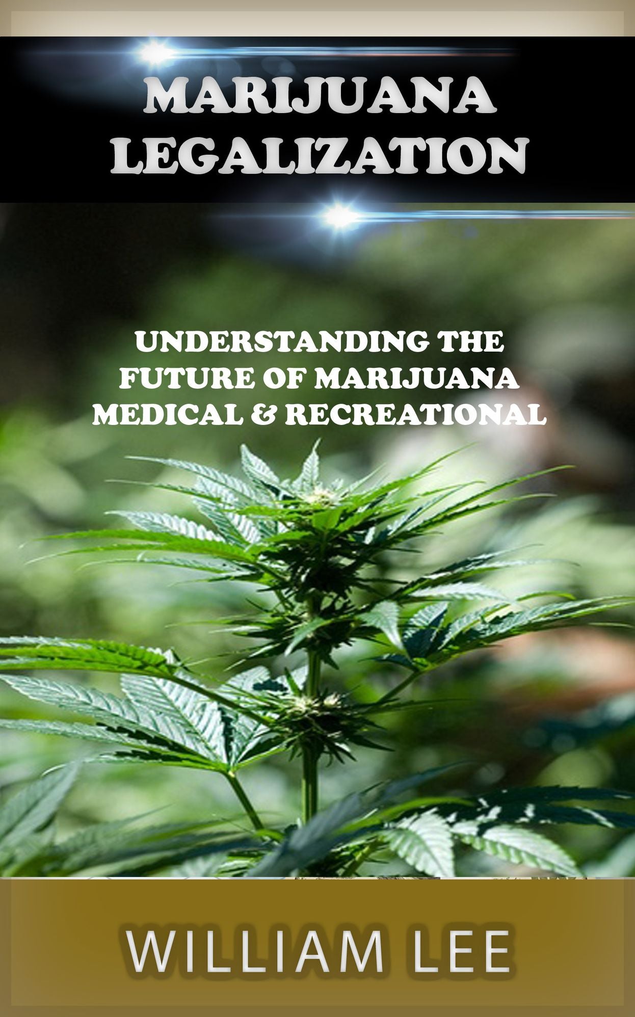 Marijuana Legalization: Understanding the Future of Marijuana - Medical and Recreational