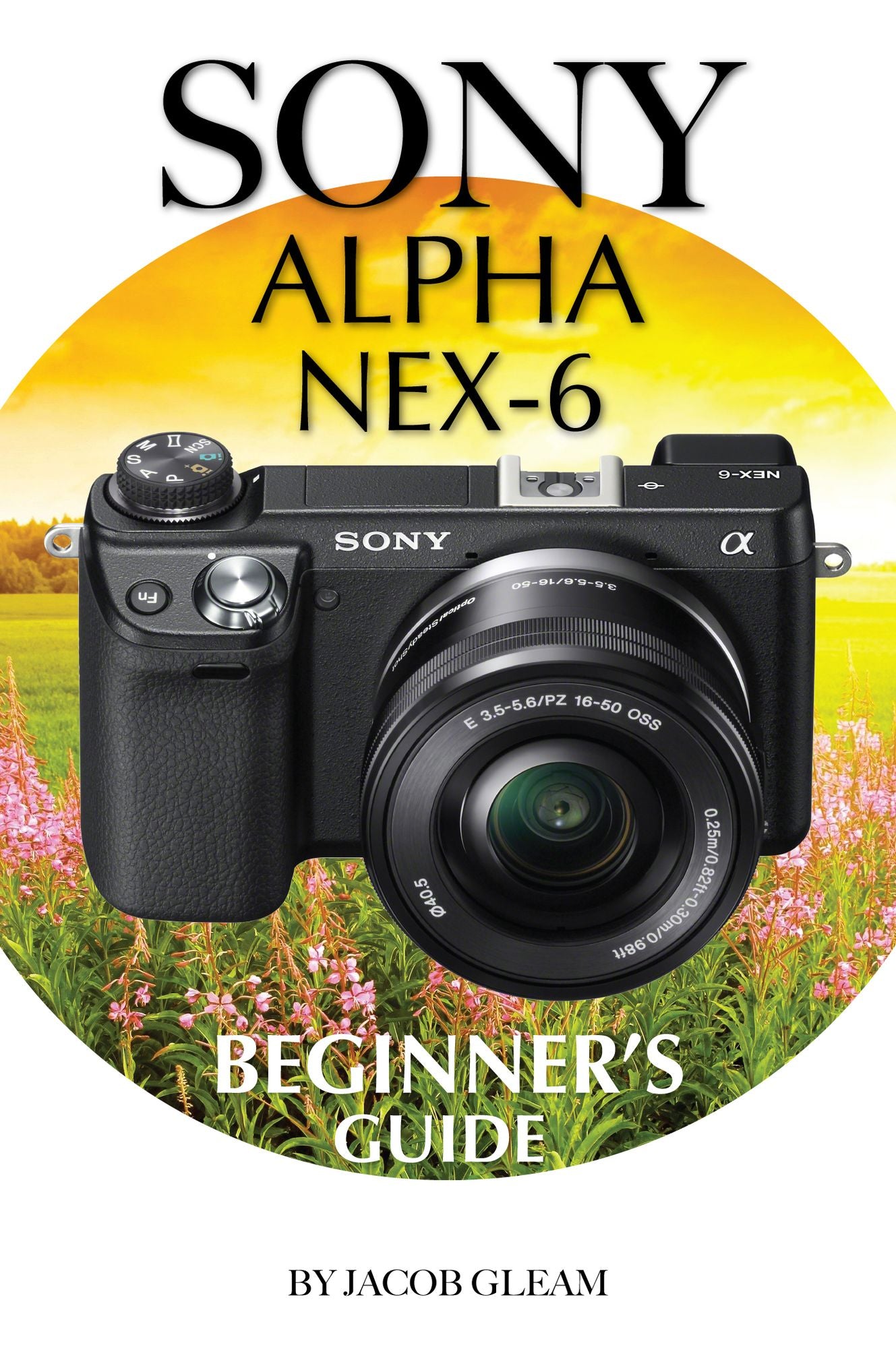 Sony Alpha Nex-6: Beginnerr