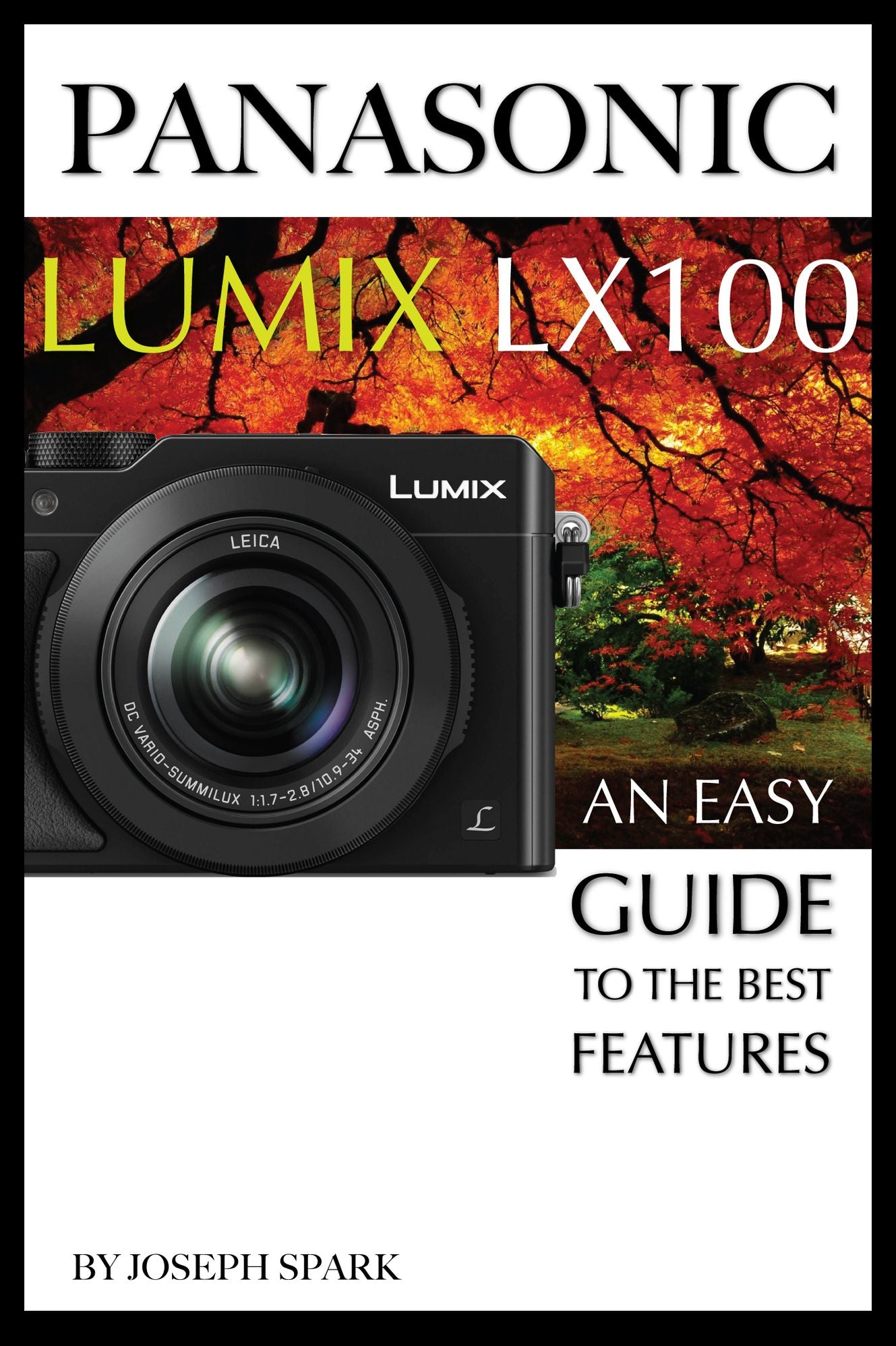 Panasonic Lumix LX100: An Easy Guide to the Best Features