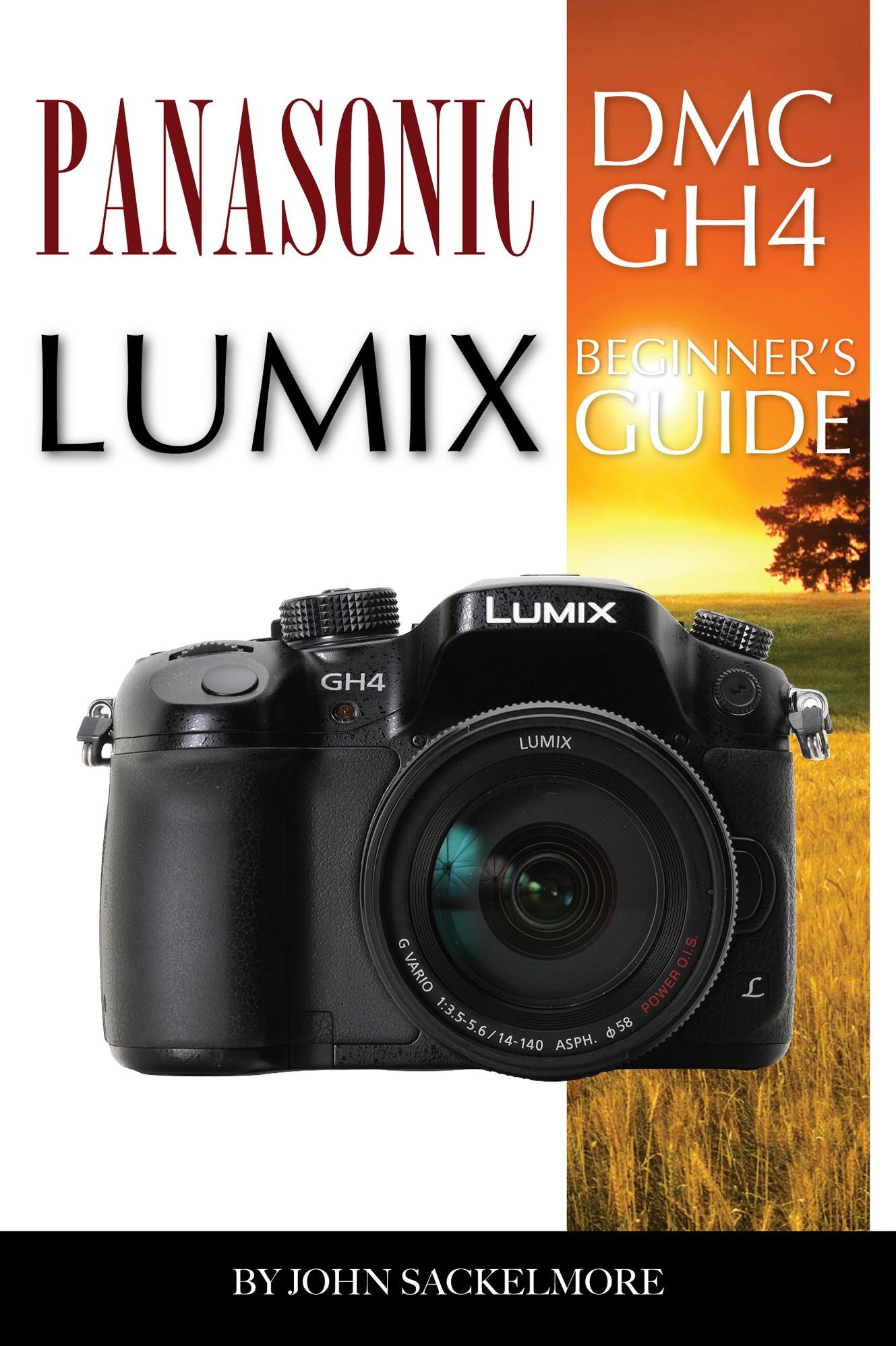 Panasonic Dmc Gh4 Lumix: Beginner