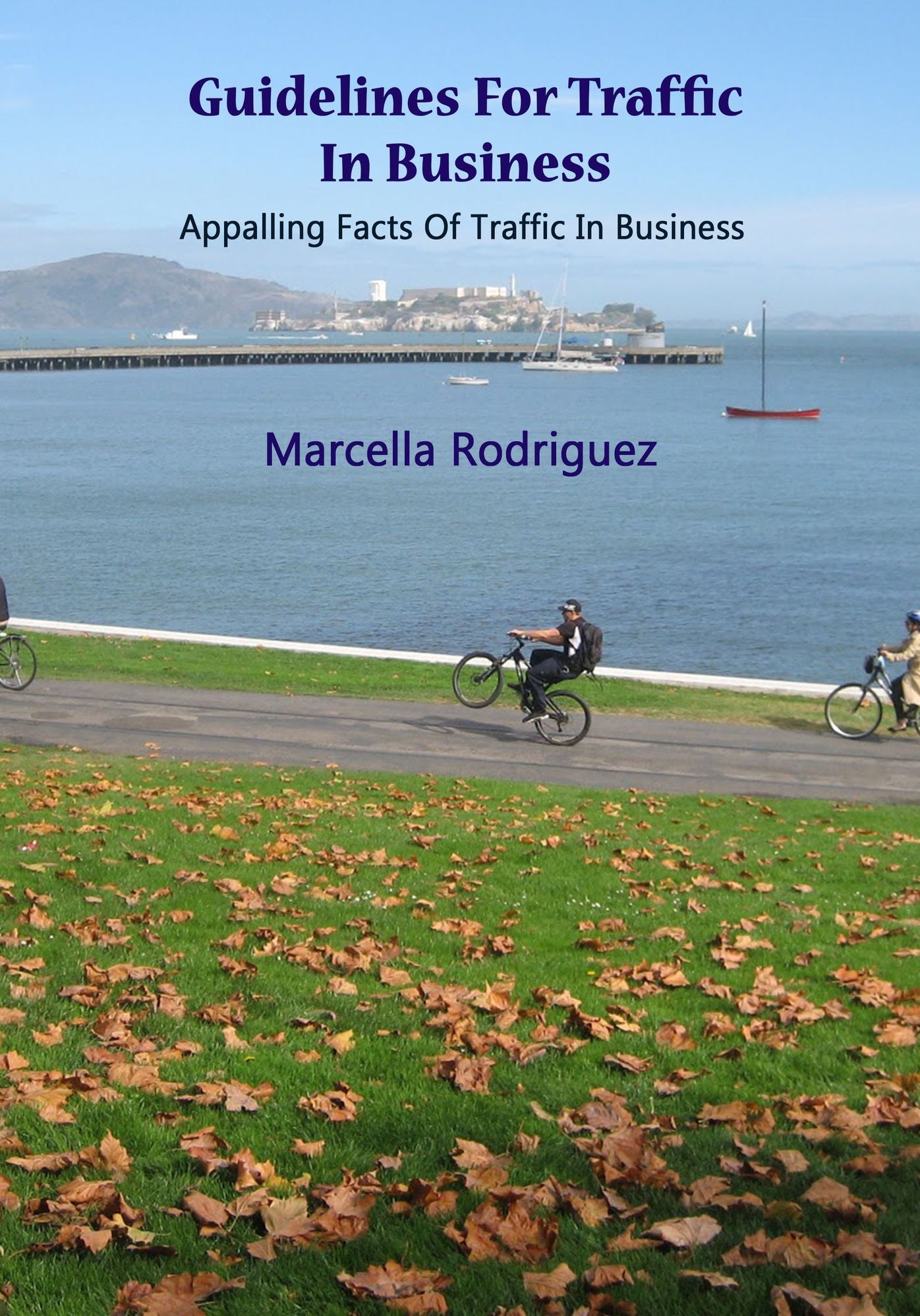 Guidelines For Traffic In Business