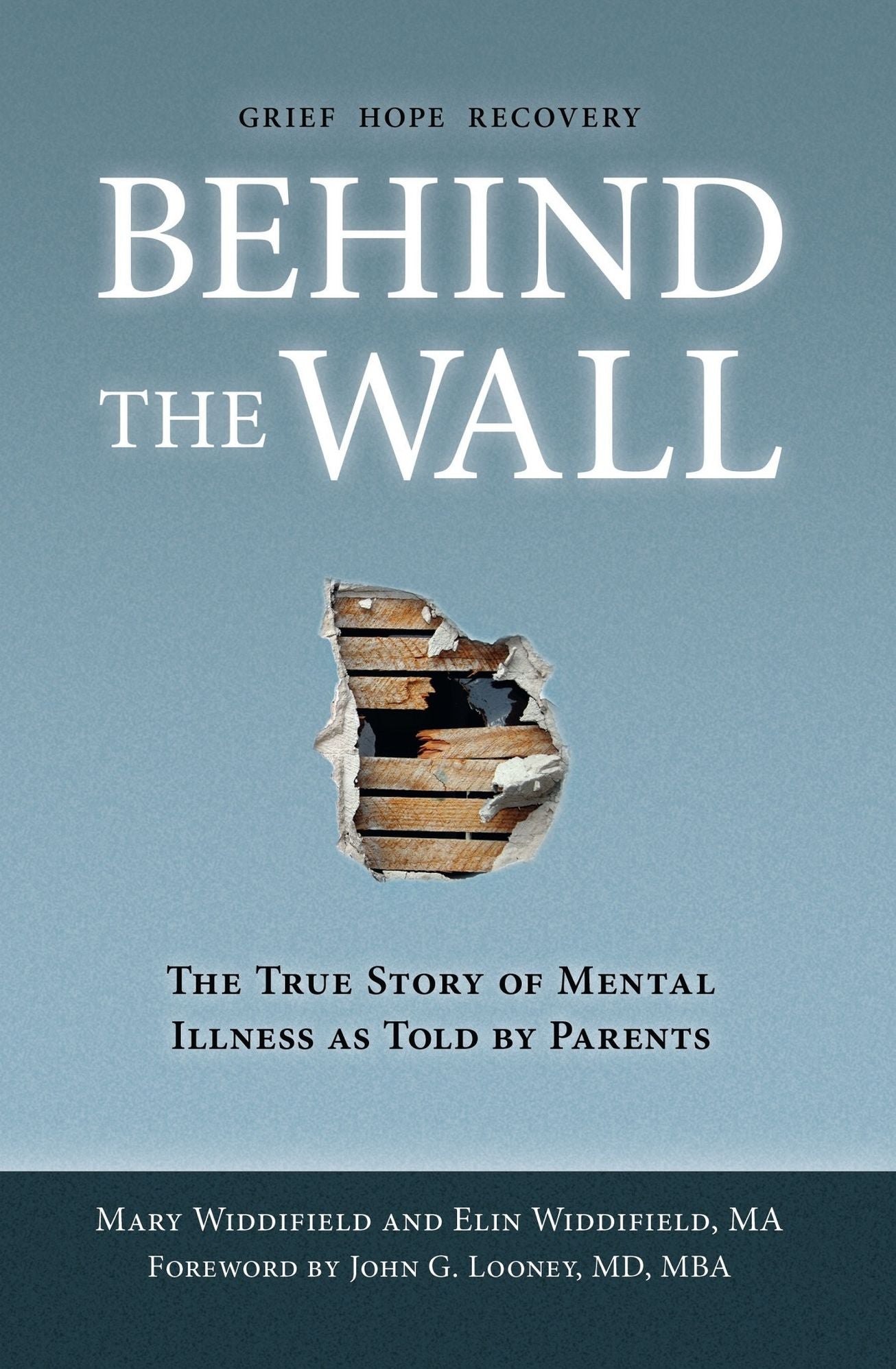 Behind the Wall: The True Story of Mental Illness as Told by Parents