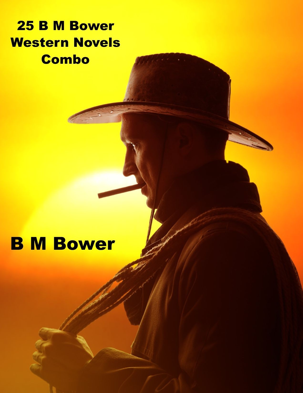 25 B M Bower Western Novels Combo