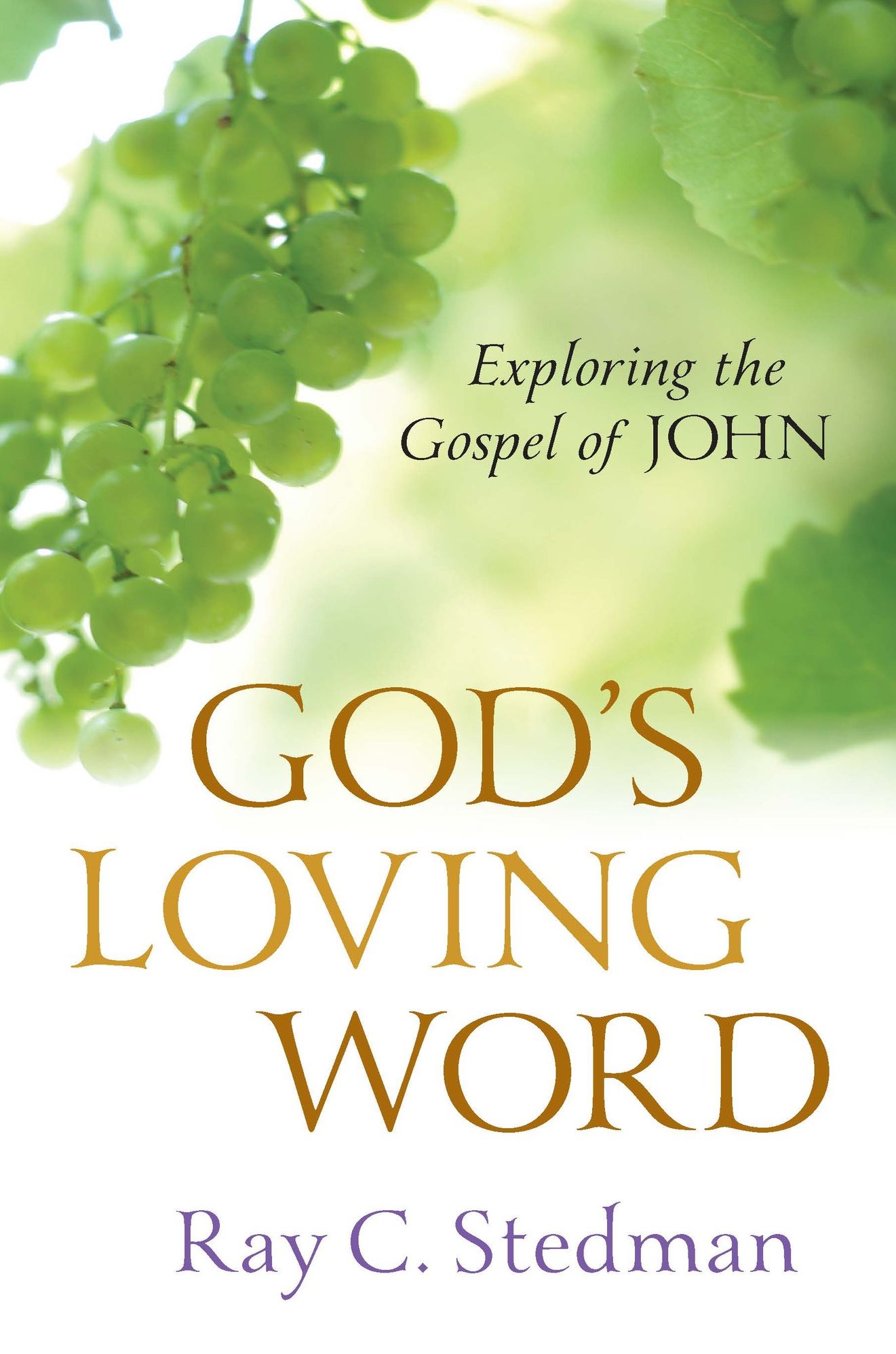 God's Loving Word: Exploring the Gospoel of John