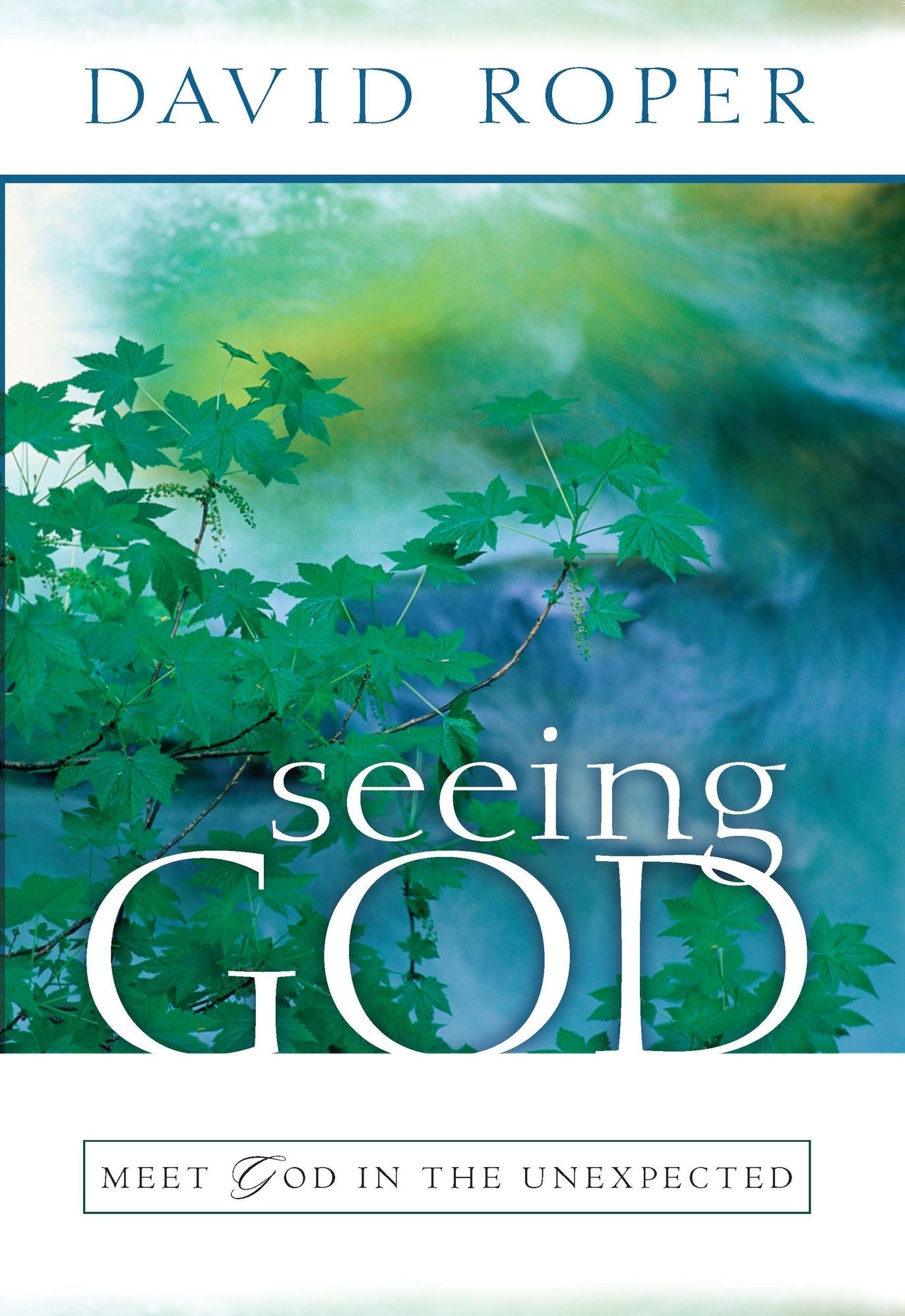Seeing God: Meet God in the Unexpected