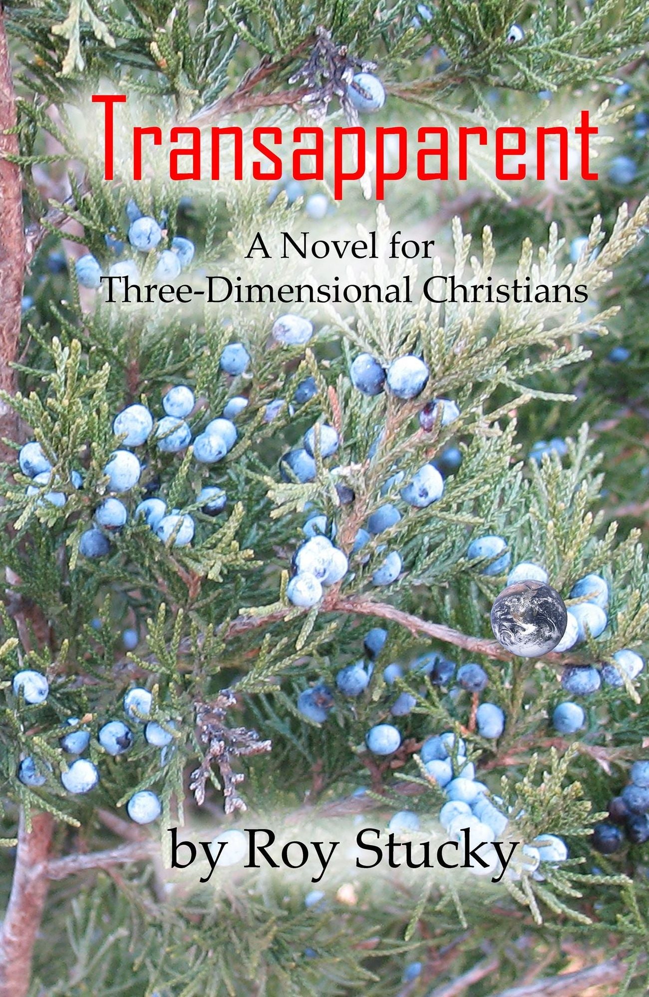 Transapparent: A Novel for Three-Dimensional Christians