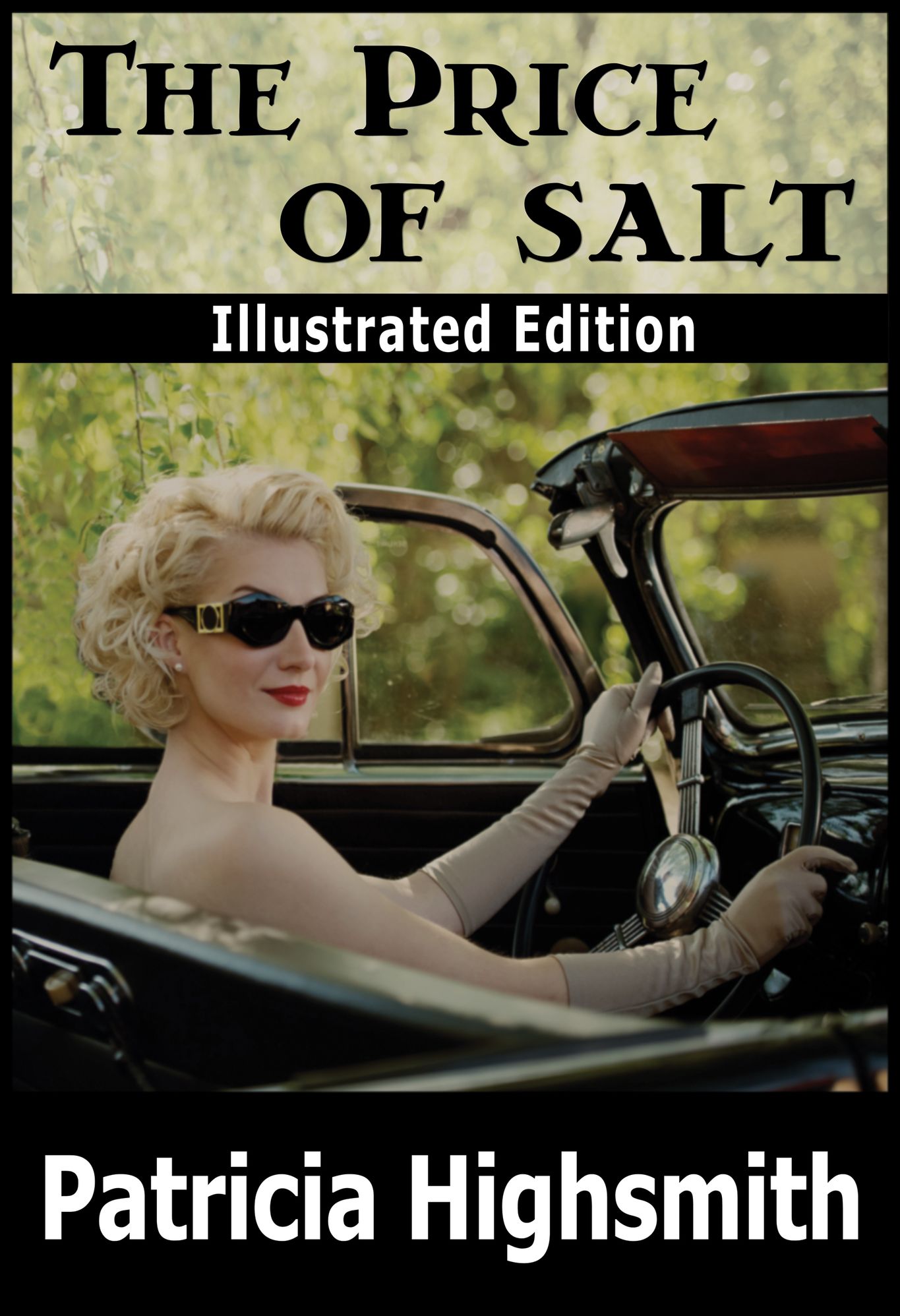 The Price of Salt (Illustrated Edition)