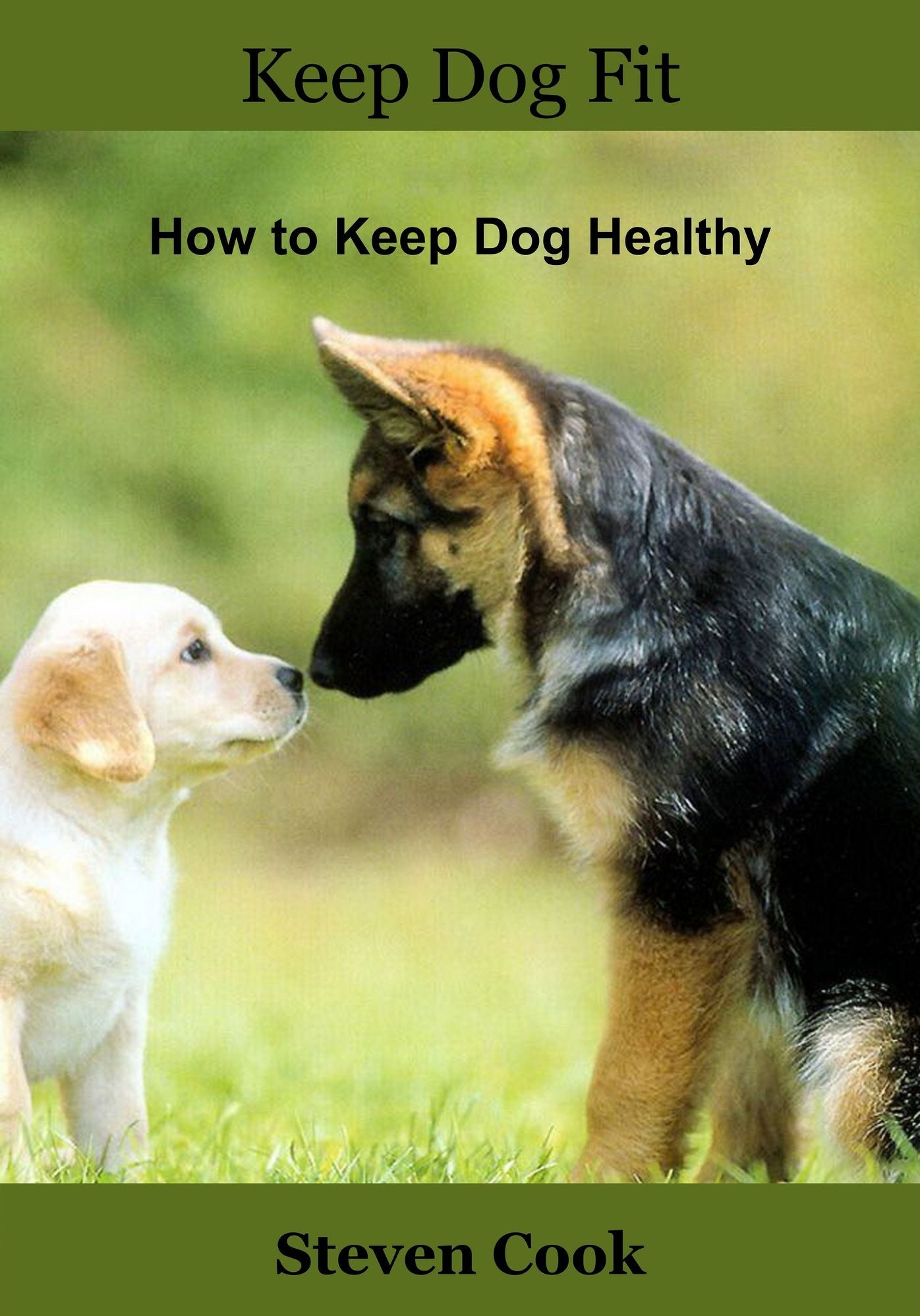 Keep dog fit