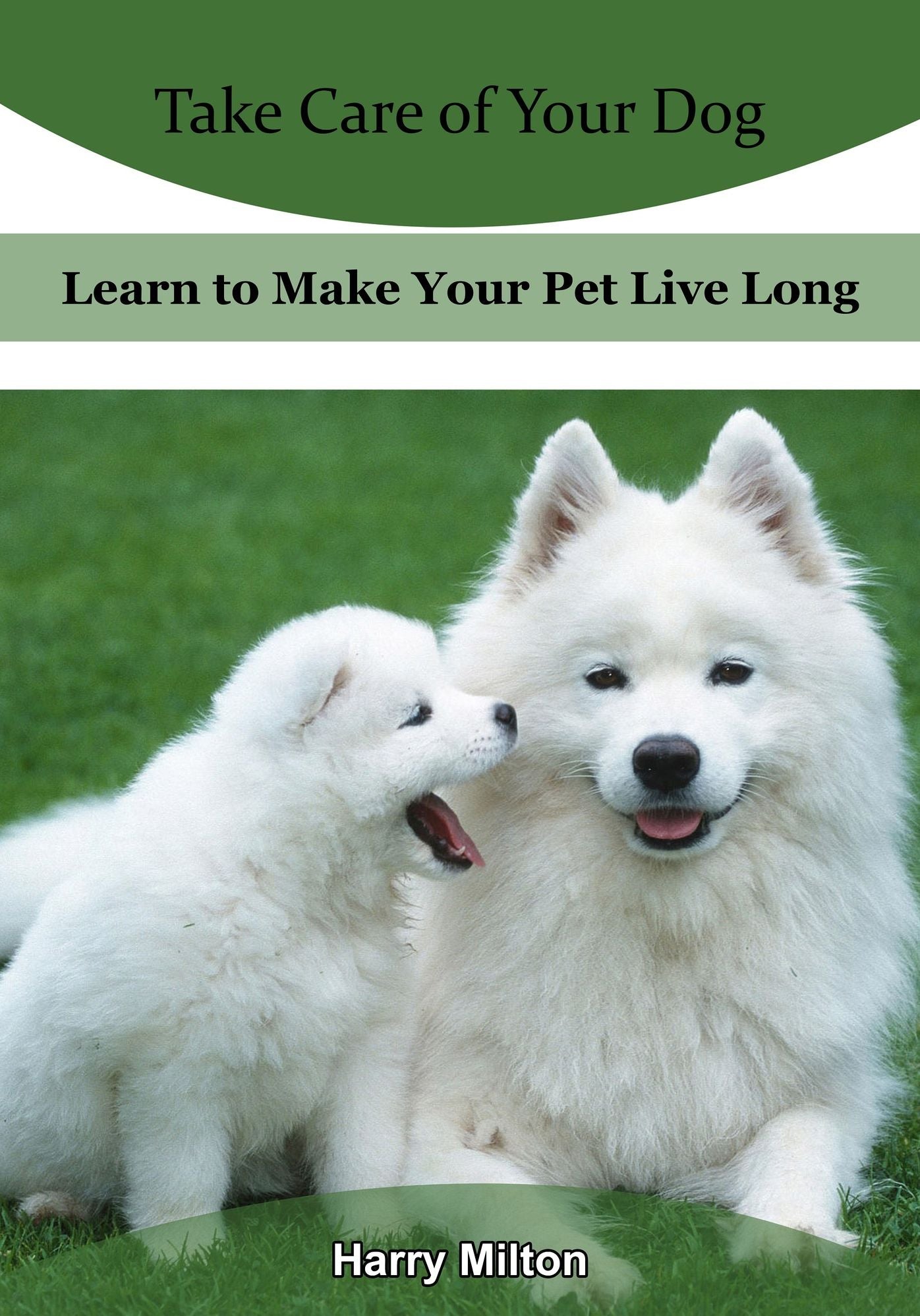 Take Care of Your Dog